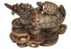 Dragon Turtle Feng Shui Symbol with a Baby Tortoise