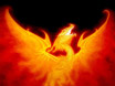 The Phoenix